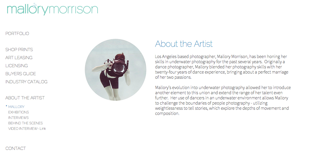 artist biography short artist bio example