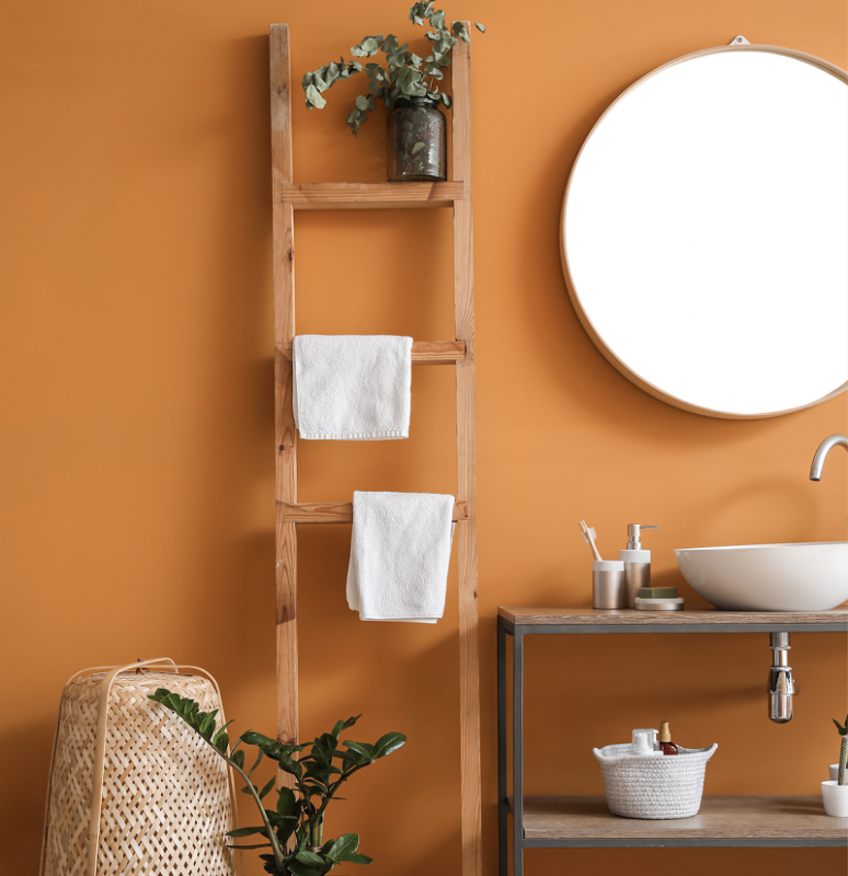 https://blog.society6.com/app/uploads/2023/02/bathroom-bold-orange-paint-color-774x800.png