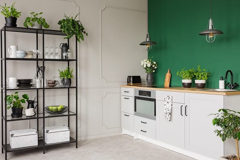 green kitchen with plants