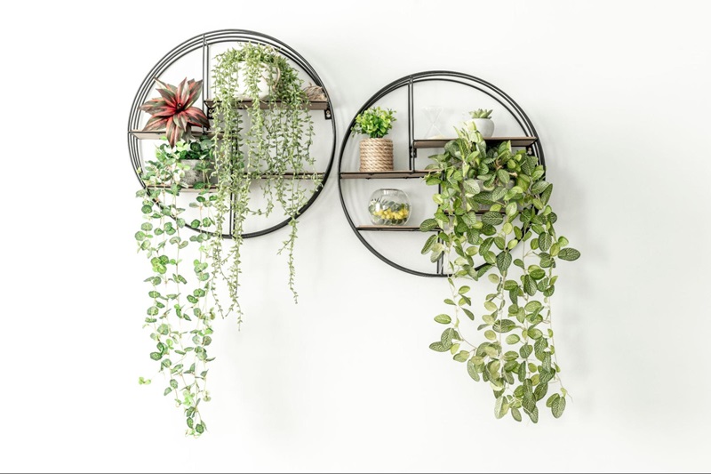 Plant decorate with white walls